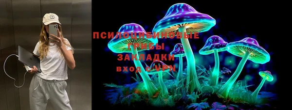 крисы Аркадак