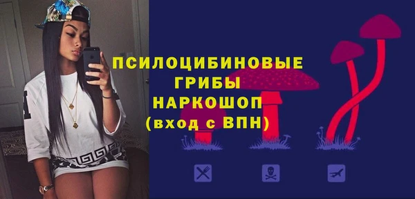 крисы Аркадак