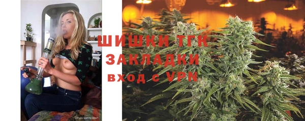 крисы Аркадак