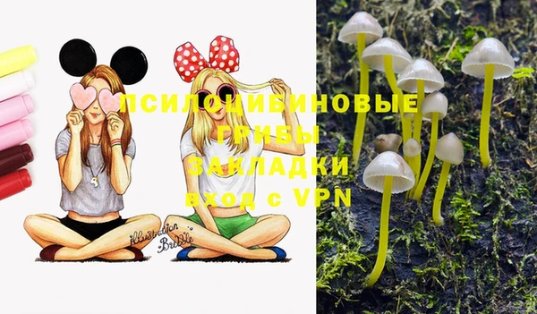 крисы Аркадак