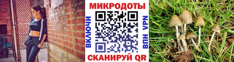 Галлюциногенные грибы Cubensis  купить наркоту  Родники 